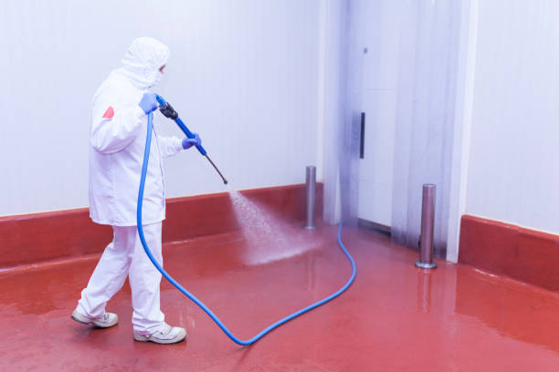 Best Patio and Deck Pressure Washing  in Wray, CO